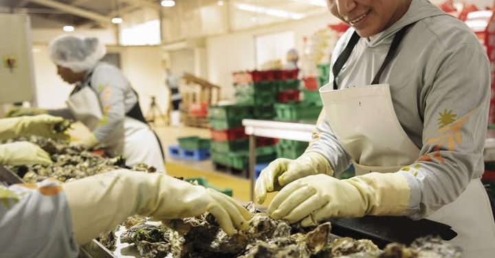 ASÍ SE VIVE EL LIDERAZGO FEMENINO EN LA PRODUCCIÓN RESPONSABLE DE OSTIONES