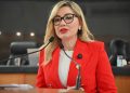 IMPULSA KARINA OLIVAS CUMPLIMIENTO DE LA “LEY SILLA” EN BCS; CONGRESO EXIGE INSPECCIONES PARA PROTEGER LA SALUD LABORAL