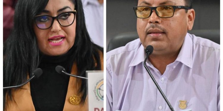 IMPULSAN LEY PARA LA ATENCIÓN, PROTECCIÓN E INCLUSIÓN DE LAS PERSONAS CON TRASTORNO DEL ESPECTRO AUTISTA EN BCS