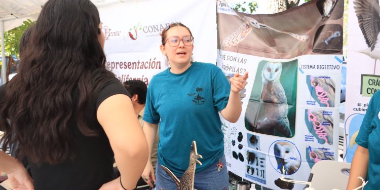 INAUGURAN EN LA UABCS EL 3ER FESTIVAL DE LAS AVES PLAYERAS DE LA PAZ