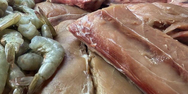 LLAMA IMSS BAJA CALIFORNIA SUR A CONSUMIR PESCADOS Y MARISCOS   