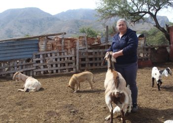 UMF NO. 40 DEL IMSS BAJA CALIFORNIA SUR REALIZA EXAMEN  DE FONDO DE OJO Y VASECTOMÍAS DURANTE FIN DE SEMANA