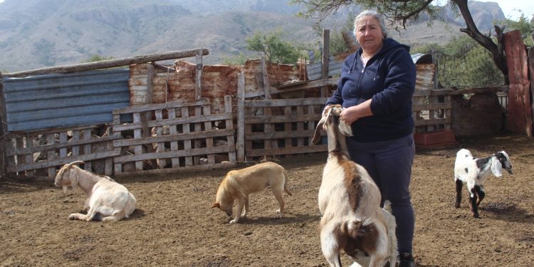 UMF NO. 40 DEL IMSS BAJA CALIFORNIA SUR REALIZA EXAMEN  DE FONDO DE OJO Y VASECTOMÍAS DURANTE FIN DE SEMANA