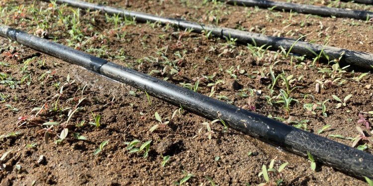 SECRETARÍA DE SEGURIDAD PÚBLICA ESTATAL IMPARTE TALLER DE BÚSQUEDA DE EMPLEO A PERSONAS PRELIBERADAS