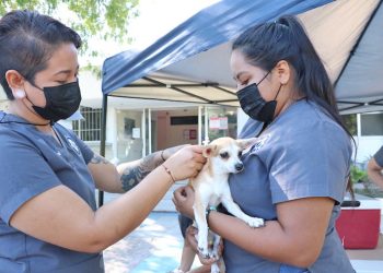 “SEGUIREMOS FORTALECIENDO EL SECTOR PECUARIO EN BAJA CALIFORNIA SUR”: VÍCTOR CASTRO COSÍO