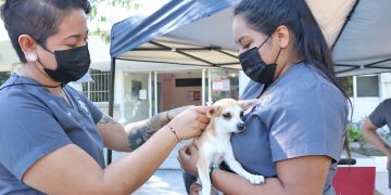 “SEGUIREMOS FORTALECIENDO EL SECTOR PECUARIO EN BAJA CALIFORNIA SUR”: VÍCTOR CASTRO COSÍO