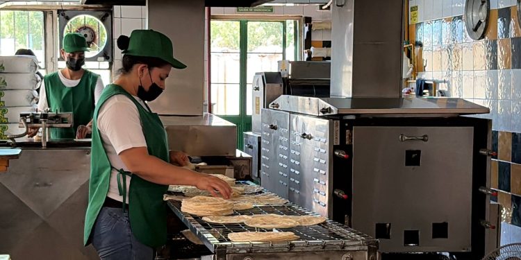 UABCS CAPACITA A ESTUDIANTES Y PRODUCTORES LOCALES EN NUTRICIÓN DE CABRAS Y OVEJAS