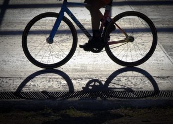 UABCS CAPACITA A ESTUDIANTES Y PRODUCTORES LOCALES EN NUTRICIÓN DE CABRAS Y OVEJAS