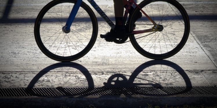 UABCS CAPACITA A ESTUDIANTES Y PRODUCTORES LOCALES EN NUTRICIÓN DE CABRAS Y OVEJAS