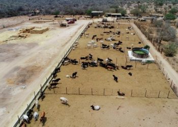 PREPARAN A FUTUROS DOCENTES DE BCS PARA PREVENIR RIESGOS DIGITALES