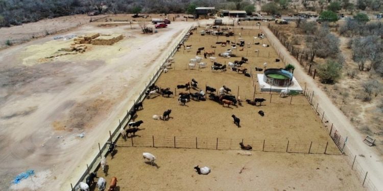 PREPARAN A FUTUROS DOCENTES DE BCS PARA PREVENIR RIESGOS DIGITALES