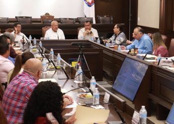 CONSEJO DE PAZ Y JUSTICIA CÍVICA PRESENTA AVANCES DEL DIAGNÓSTICO DE SEGURIDAD EN BCS; CONVOCA GOBERNADOR A TRABAJAR UNIDOS