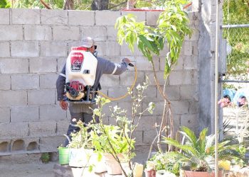 REALIZA SALUD BCS ACCIONES DE PREVENCIÓN Y CONTROL DEL DENGUE