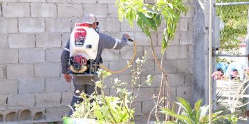 REALIZA SALUD BCS ACCIONES DE PREVENCIÓN Y CONTROL DEL DENGUE
