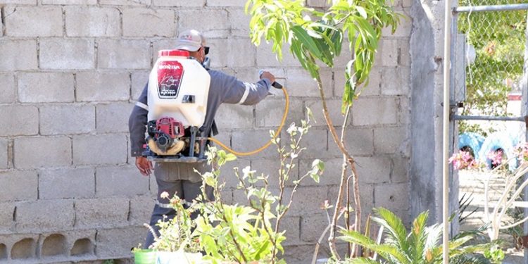 REALIZA SALUD BCS ACCIONES DE PREVENCIÓN Y CONTROL DEL DENGUE