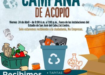 REALIZARÁN JORNADA GRATUITA DE ESTERILIZACIÓN CANINA Y FELINA EN CABO SAN LUCAS