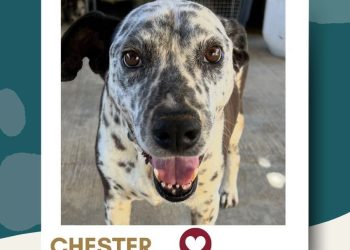 POLICÍA RURAL DE LOS CABOS RECORRE LA ZONA NORTE CON LABORES DE VIGILANCIA POR SEMANA SANTA