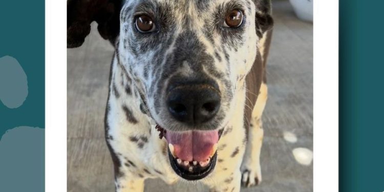POLICÍA RURAL DE LOS CABOS RECORRE LA ZONA NORTE CON LABORES DE VIGILANCIA POR SEMANA SANTA