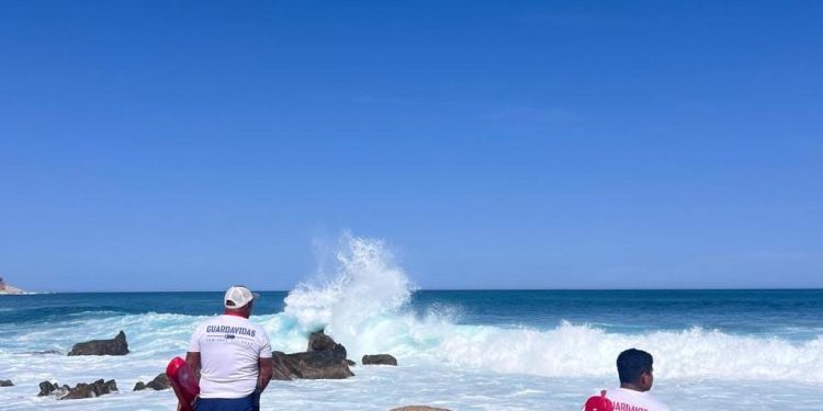 COORDINAN LOS TRES NIVELES DE GOBIERNO ACCIONES DE CONSERVACIÓN EN SAN JOSÉ DEL CABO