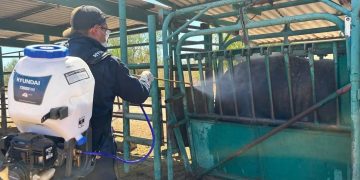 ESTUDIANTES CON LOS MEJORES PROMEDIOS DE UABCS LOS CABOS RECIBEN COMPUTADORAS PORTÁTILES POR PARTE DEL GOBIERNO MUNICIPAL