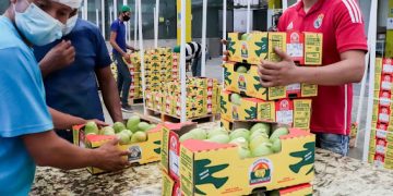 SE MANTIENE EXPORTACIÓN DE MANGO MEXICANO HACIA ESTADOS UNIDOS
