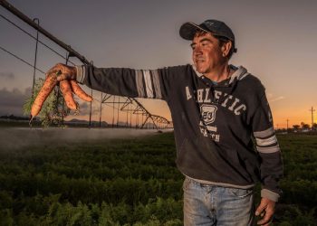 LLAMA AGRICULTURA, CONAGUA Y CFE A REGULARIZAR CONCESIONES DE AGUA ANTES DEL 30 DE ABRIL PARA MANTENER SUBSIDIO ELÉCTRICO AGRÍCOLA