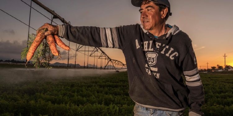 LLAMA AGRICULTURA, CONAGUA Y CFE A REGULARIZAR CONCESIONES DE AGUA ANTES DEL 30 DE ABRIL PARA MANTENER SUBSIDIO ELÉCTRICO AGRÍCOLA