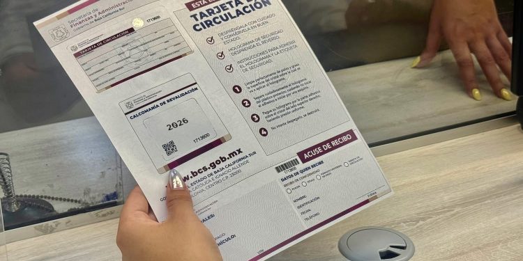 BCS SUMA CUATRO PRESEAS EN CLAVADOS EN LA OLIMPIADA NACIONAL CONADE 2026