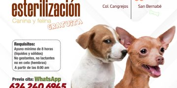 INVITA AYUNTAMIENTO DE LOS CABOS A JORNADA GRATUITA DE ESTERILIZACIÓN CANINA Y FELINA