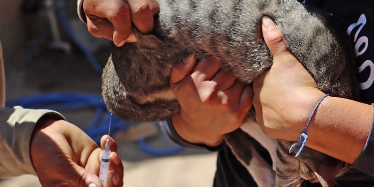 PREMIA COSHCYTI A GANADORAS Y GANADORES DEL CONCURSO DE CARTEL DEL FORO + AGUA PARA BCS