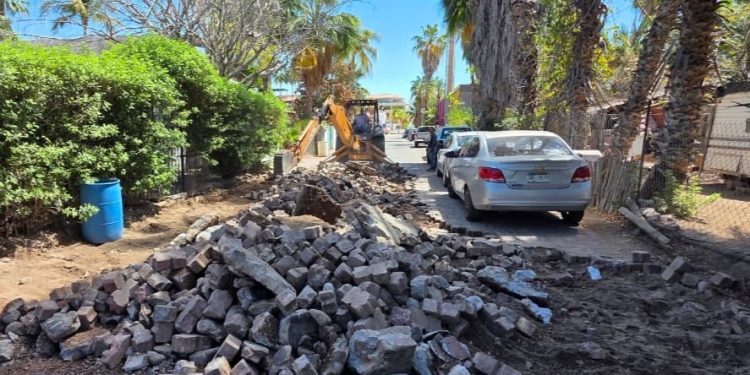 UABCS CAPACITA A ESTUDIANTES Y PRODUCTORES LOCALES EN NUTRICIÓN DE CABRAS Y OVEJAS