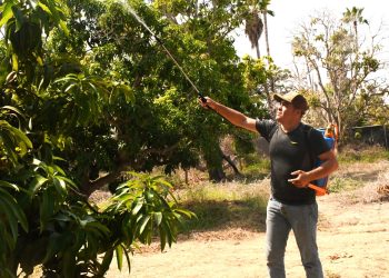 REALIZARÁN SIMULACRO DE BÚSQUEDA DE ADOLESCENTE EN EL ESTERO DE SAN JOSÉ DEL CABO EL 28 DE ABRIL