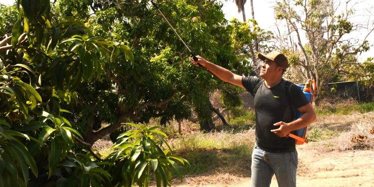 REALIZARÁN SIMULACRO DE BÚSQUEDA DE ADOLESCENTE EN EL ESTERO DE SAN JOSÉ DEL CABO EL 28 DE ABRIL