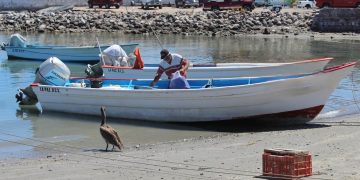 INSTITUTO SUDCALIFORNIANO PARA LA INCLUSIÓN DE LAS PERSONAS CON DISCAPACIDAD ANUNCIA TORNEO  DE PESCA CON CAUSA EN BENEFICIO DEL CAM LABORAL 13