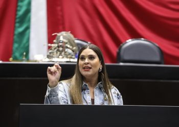 IMPULSA DIPUTADA DEL PRI ANA GONZÁLEZ CREACIÓN DE UN SISTEMA NACIONAL DE PROTECCIÓN DIGITAL INFANTIL