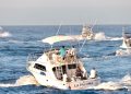 SE ESTIMAN 127 TORNEOS DE PESCA DE ORILLA  EN BCS A TRAVÉS DEL FONMAR: SEPADA