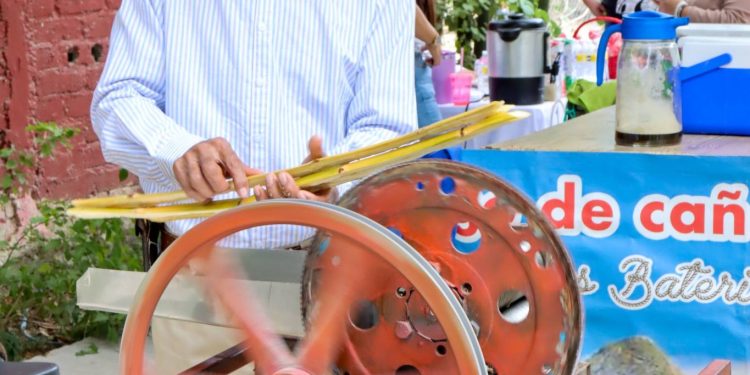    IMPULSO AL COMERCIO LOCAL: MÁS DE 160 PRODUCTORES Y ARTESANOS FORTALECEN LA ECONOMÍA DE LOS CABOS