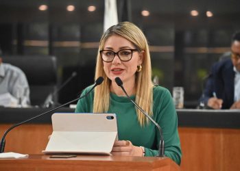 PROPONE DIPUTADA KARINA OLIVAS ESTABLECER EN LA LEGISLACIÓN LA VIOLENCIA SEXUAL MEDIANTE LA IA   