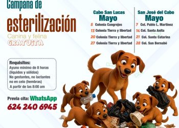 INSTITUTO DE CULTURA CONVOCAN A LAS INFANCIAS DE LOS CABOS A FORMAR PARTE DEL FESTIVAL DE ARTES FAPI 2026