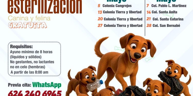 INSTITUTO DE CULTURA CONVOCAN A LAS INFANCIAS DE LOS CABOS A FORMAR PARTE DEL FESTIVAL DE ARTES FAPI 2026
