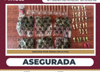 ASEGURA PGJE NARCÓTICOS EN CAMINO VECINAL EN LA PAZ