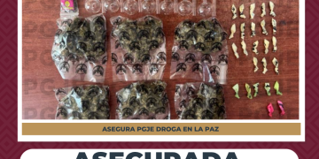 ASEGURA PGJE NARCÓTICOS EN CAMINO VECINAL EN LA PAZ