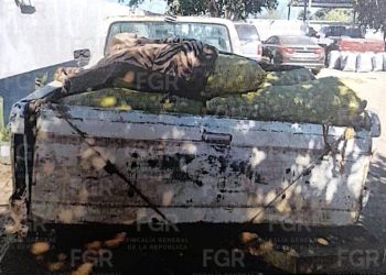 FGR OBTIENE VINCULACIÓN A PROCESO CONTRA UNA PERSONA POR DELITO CONTRA LA BIODIVERSIDAD EN COMONDÚ, BCS