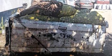 FGR OBTIENE VINCULACIÓN A PROCESO CONTRA UNA PERSONA POR DELITO CONTRA LA BIODIVERSIDAD EN COMONDÚ, BCS
