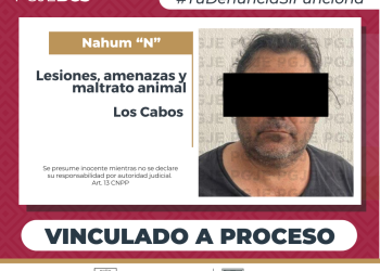OBTIENE PGJE VINCULACIÓN A PROCESO DE IMPUTADO POR LESIONES AMENAZAS Y MALTRATO ANIMAL EN SAN JOSÉ DEL CABO