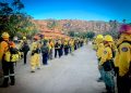 BOMBEROS DE SAN JOSÉ DEL CABO SE ESPECIALIZAN EN COMBATE DE INCENDIOS FORESTALES