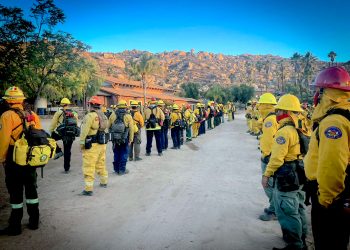 BOMBEROS DE SAN JOSÉ DEL CABO SE ESPECIALIZAN EN COMBATE DE INCENDIOS FORESTALES