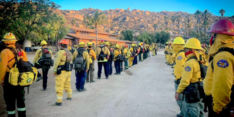 BOMBEROS DE SAN JOSÉ DEL CABO SE ESPECIALIZAN EN COMBATE DE INCENDIOS FORESTALES