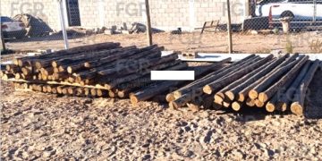 POR DELITO DE COMERCIO ILÍCITO DE PRODUCTOS MADERABLES, OBTIENE FGR VINCULACIÓN A PROCESO CONTRA UNA PERSONA