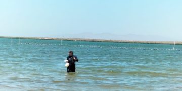 DETERMINA COEPRIS CONDICIÓN SIN RIESGO SANITARIO EN BAHIA DE LA PAZ